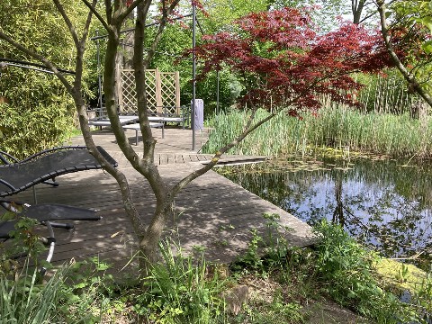 Naturgarten mit Teich und Liegestühlen.