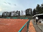 Fichtenreihe hinter dem Tennisplatz