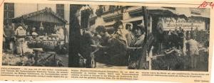Ausschnitt aus dem Wieslocher Tageblatt vom 7.12.1973. 