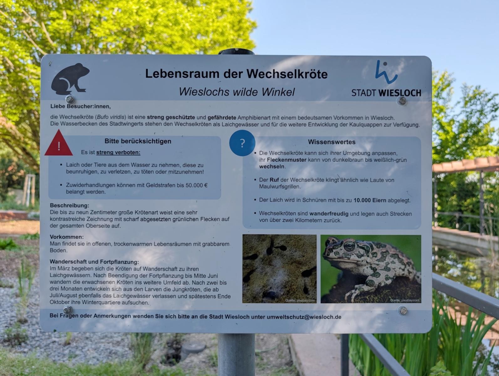 Info-Schild zu den Wechselkröten.