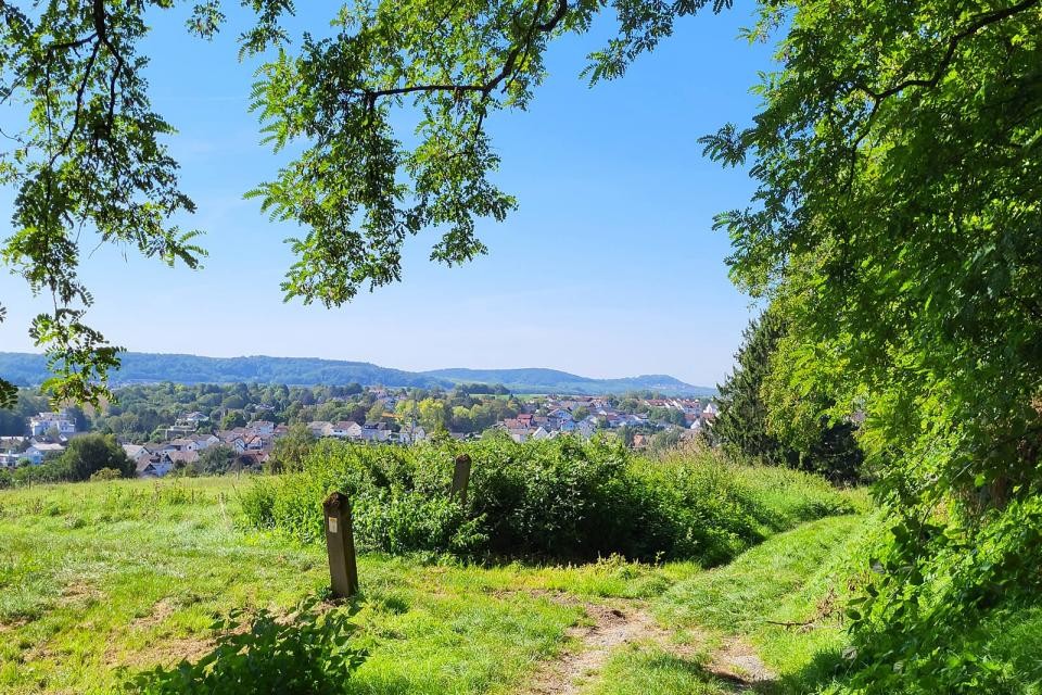 5_bai_blickauf2_2023_rfritz