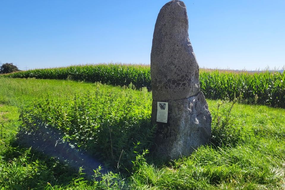 6_bai_fliegerabsturz2_2023_rfritz