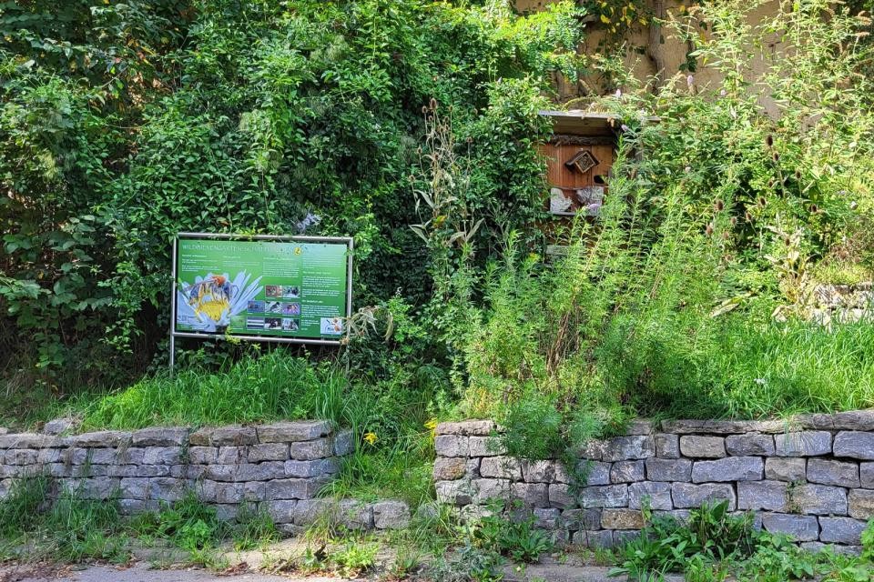 9_scha_wildbienengarten1_2023_rfritz