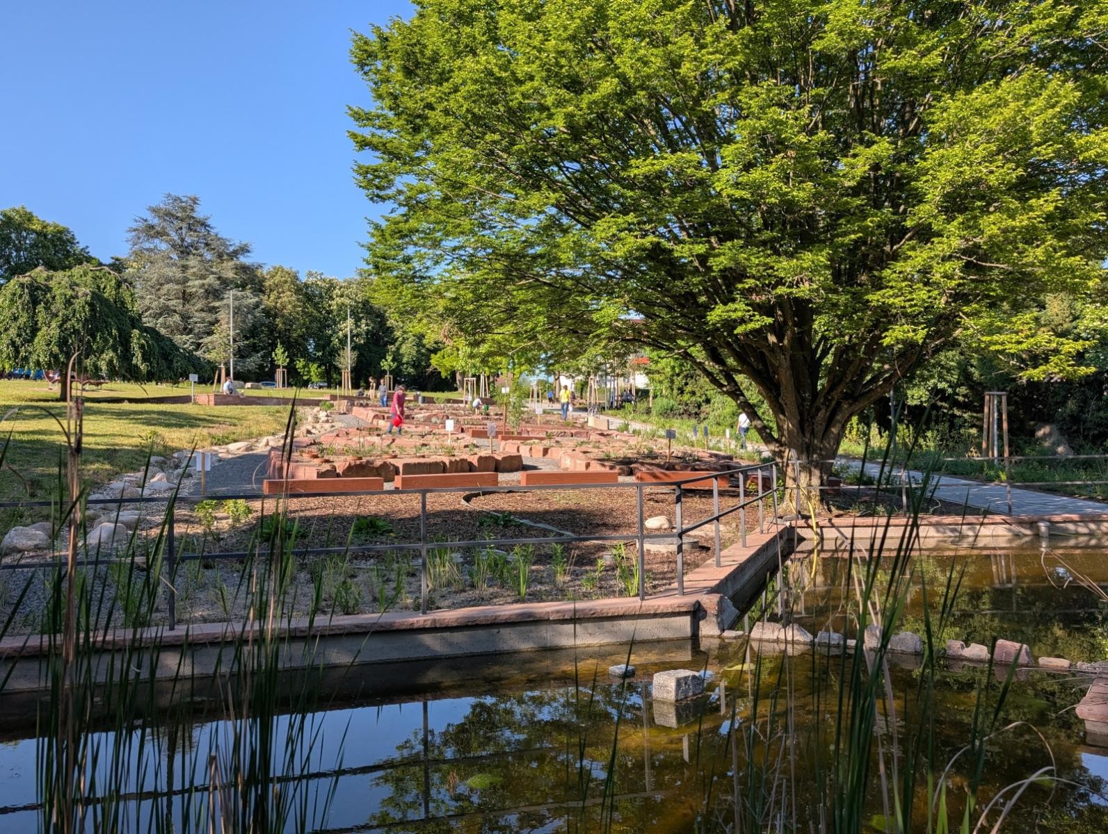 Wasserbecken mit neugestalteten Kräuterbeeten im Hintergrund.