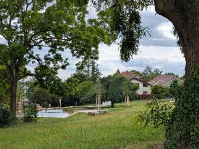 Stadtwingertanlage mit Wiesen, Wasserbecken und großen Bäumen.