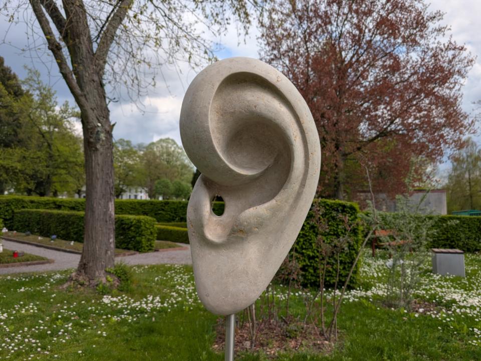 Realistische Skulptur eines menschlichen Ohrs.