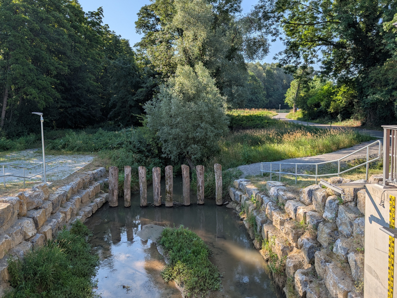 Massive, in den Bachlauf eingerammte Baumstämme halten das Einlaufbauwerk frei von Treibholz und angeschwemmten Gegenständen.