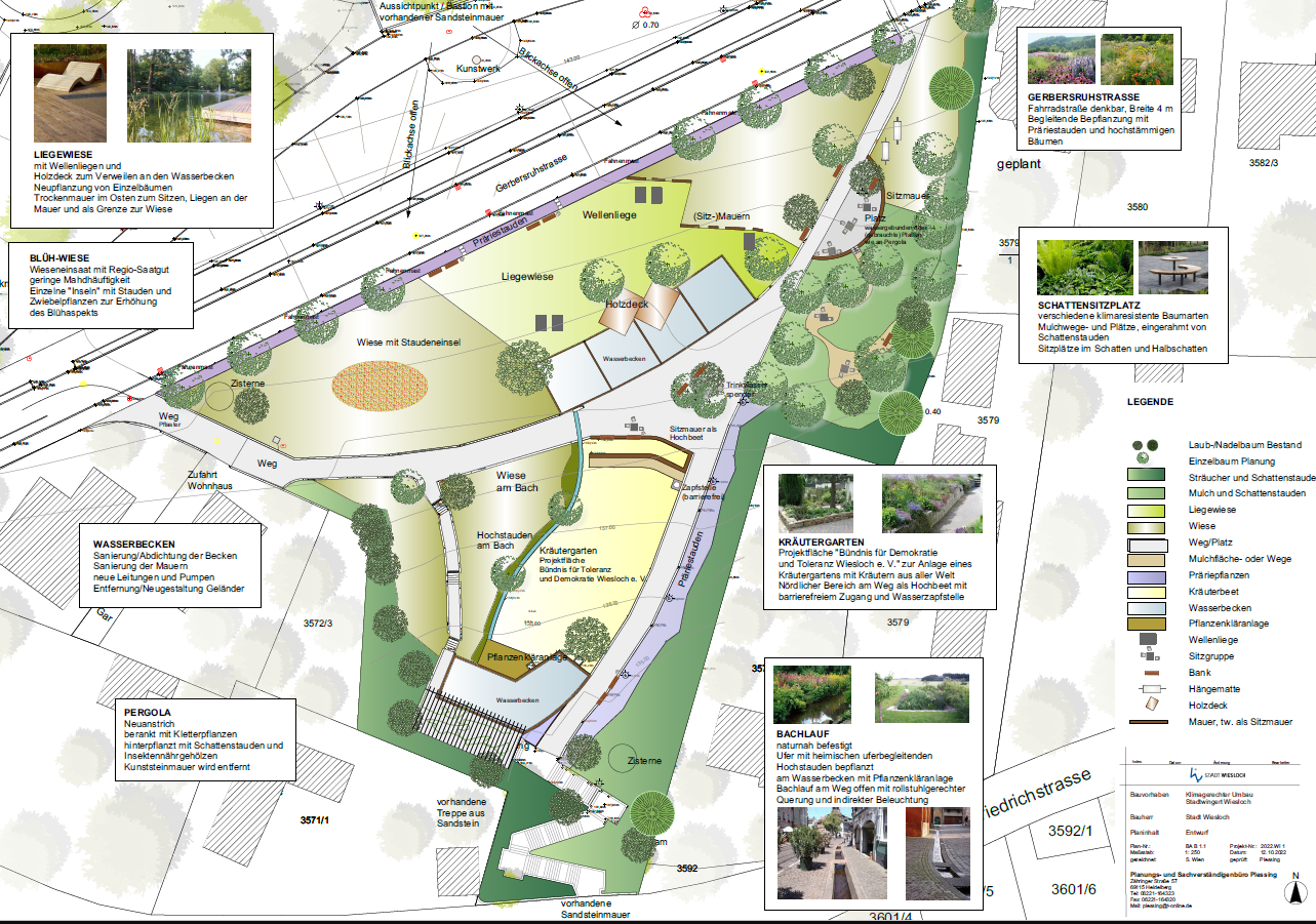 Entwurfsplanung neue Stadtwingertanlage. Entwurfsplanung neue Stadtwingertanlage.