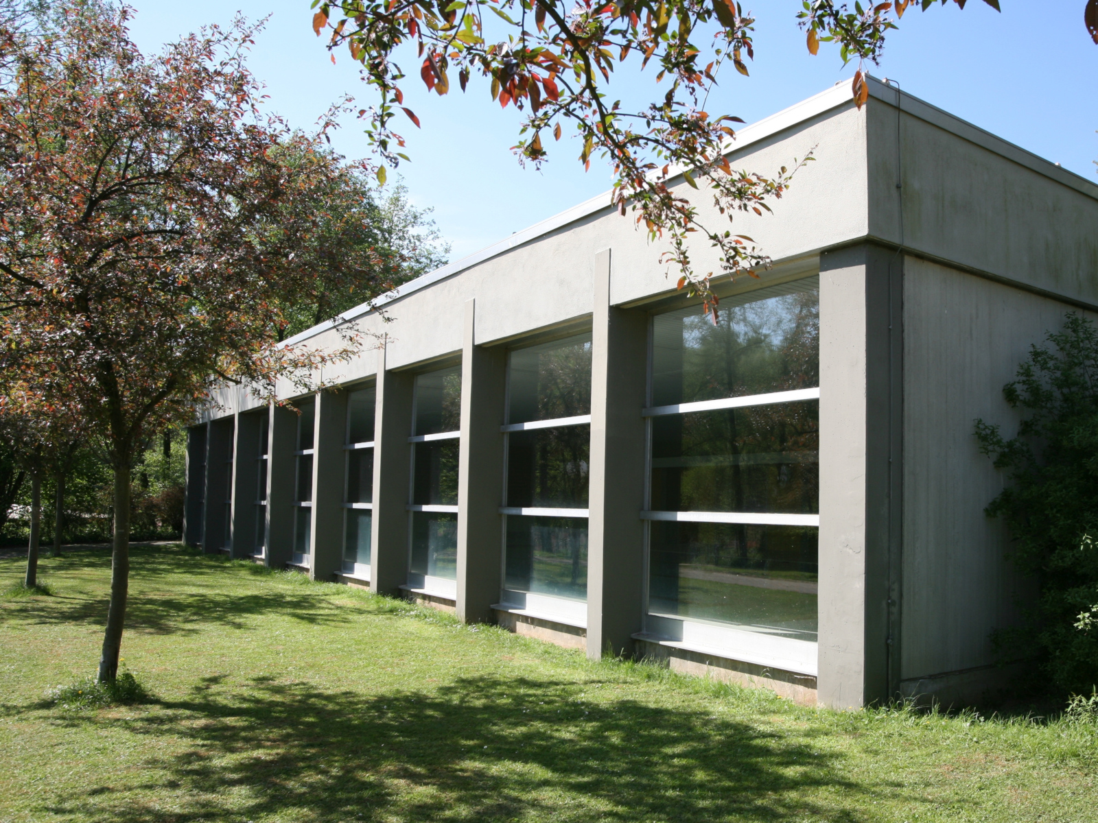 Fensterfront des Lehrschwimmbecken Schatthausen.
