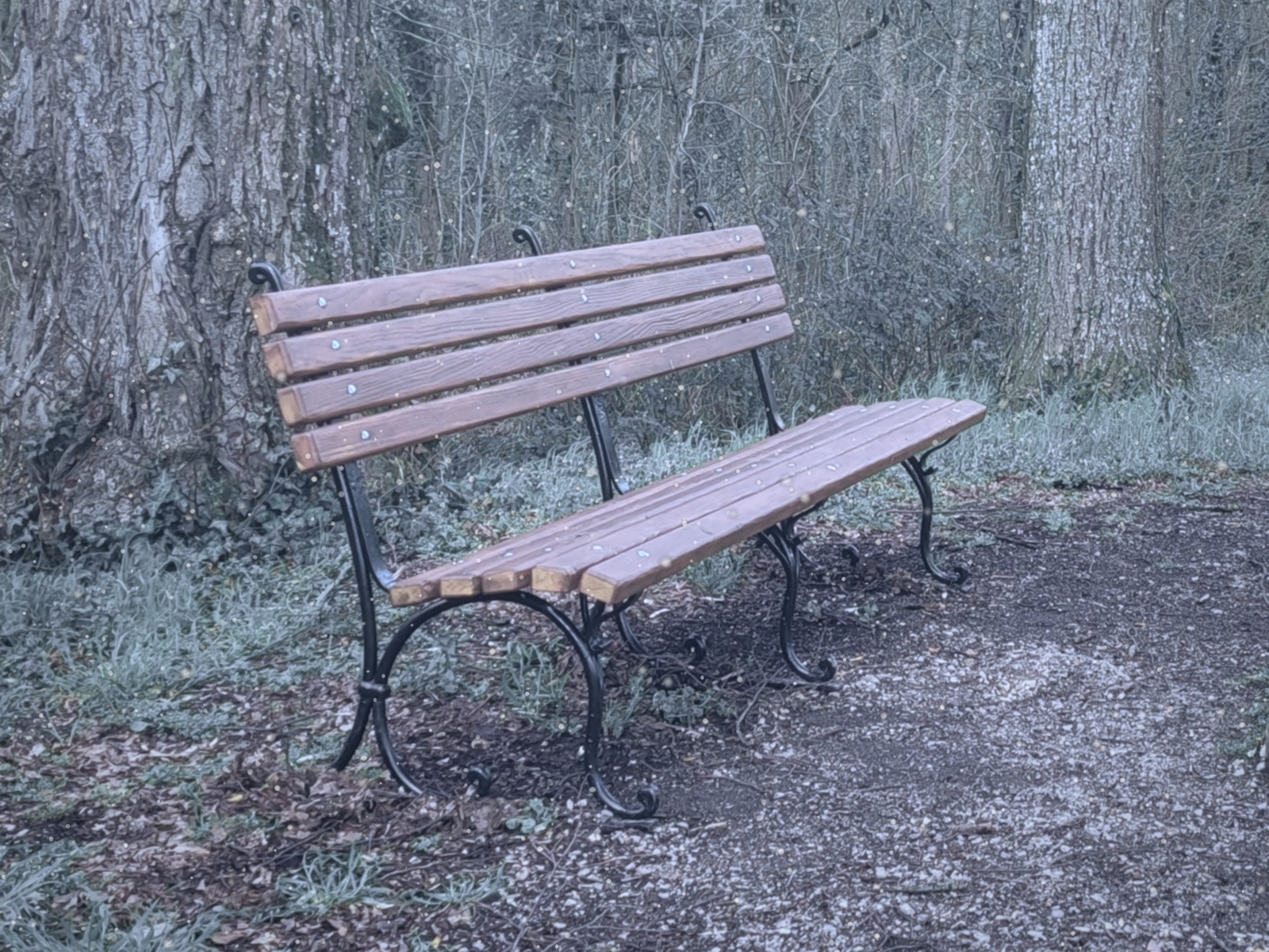 Winterliche, leere Parkbank.