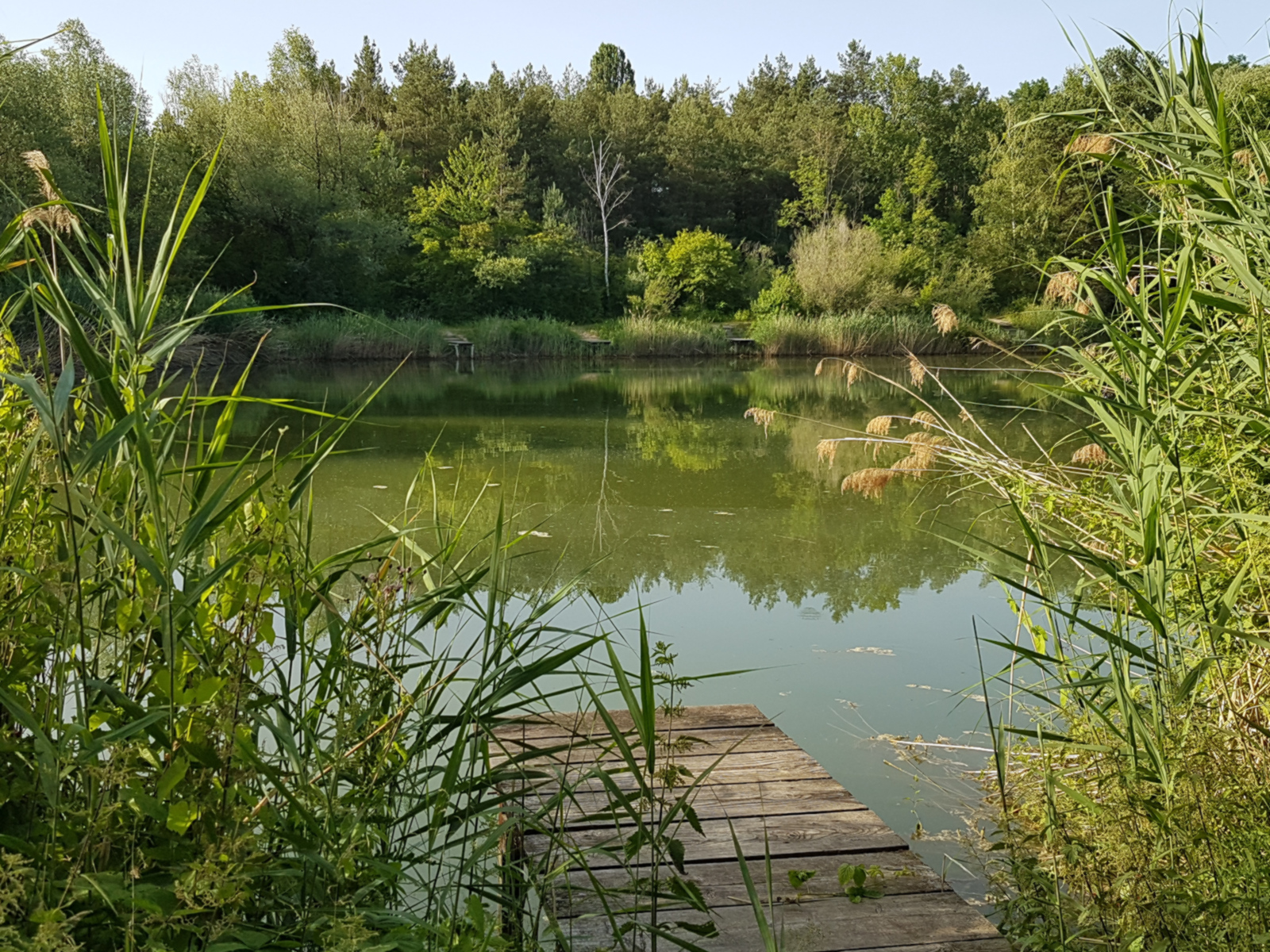 Angelsee Bottloch mit Holzsteg. 