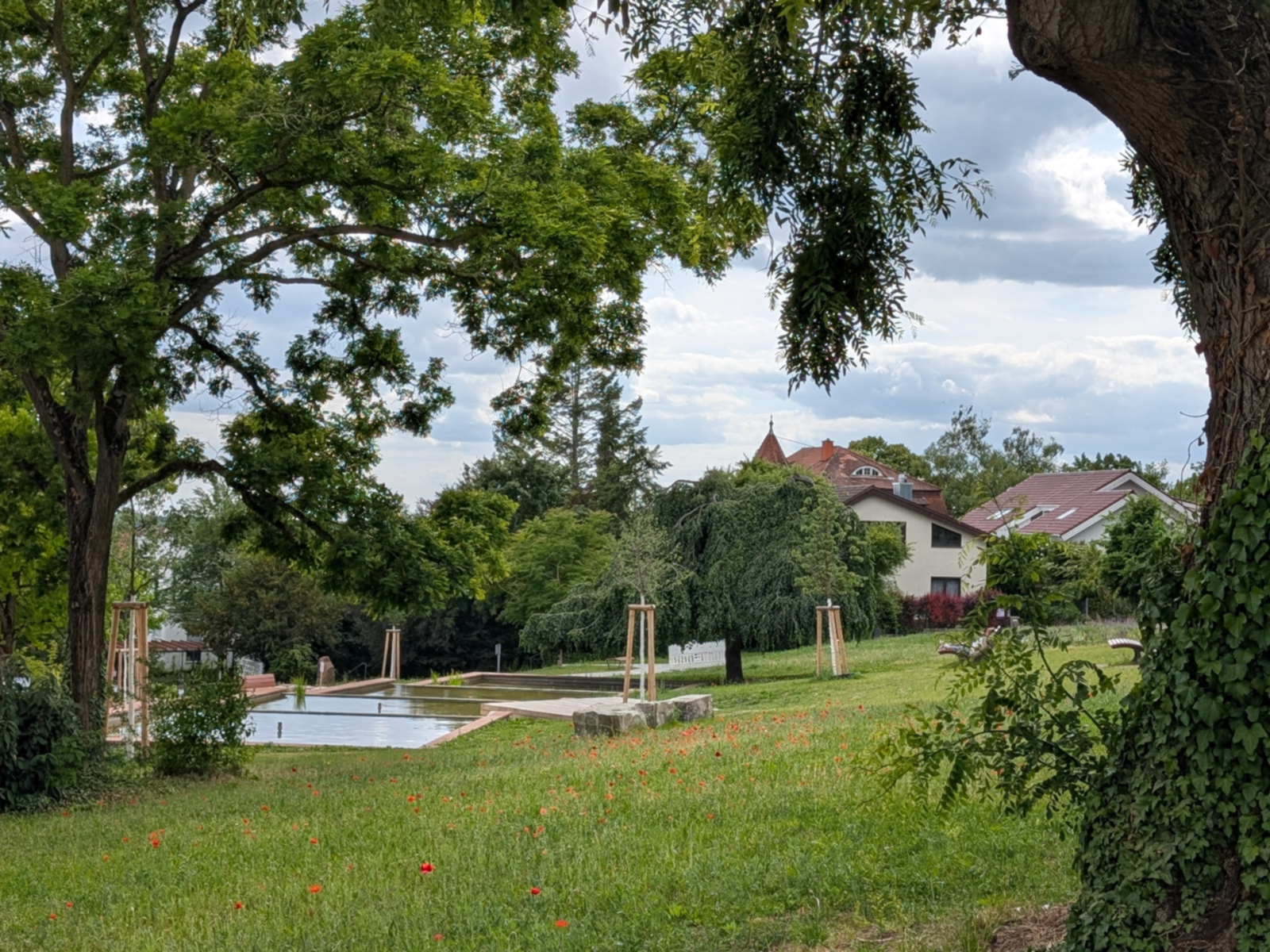Wiesen und Wasserbecken in der Stadtwingertanlage.