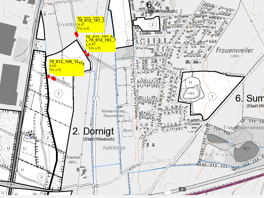 Übersichtskarte mit Lagerorten in Frauenweiler.