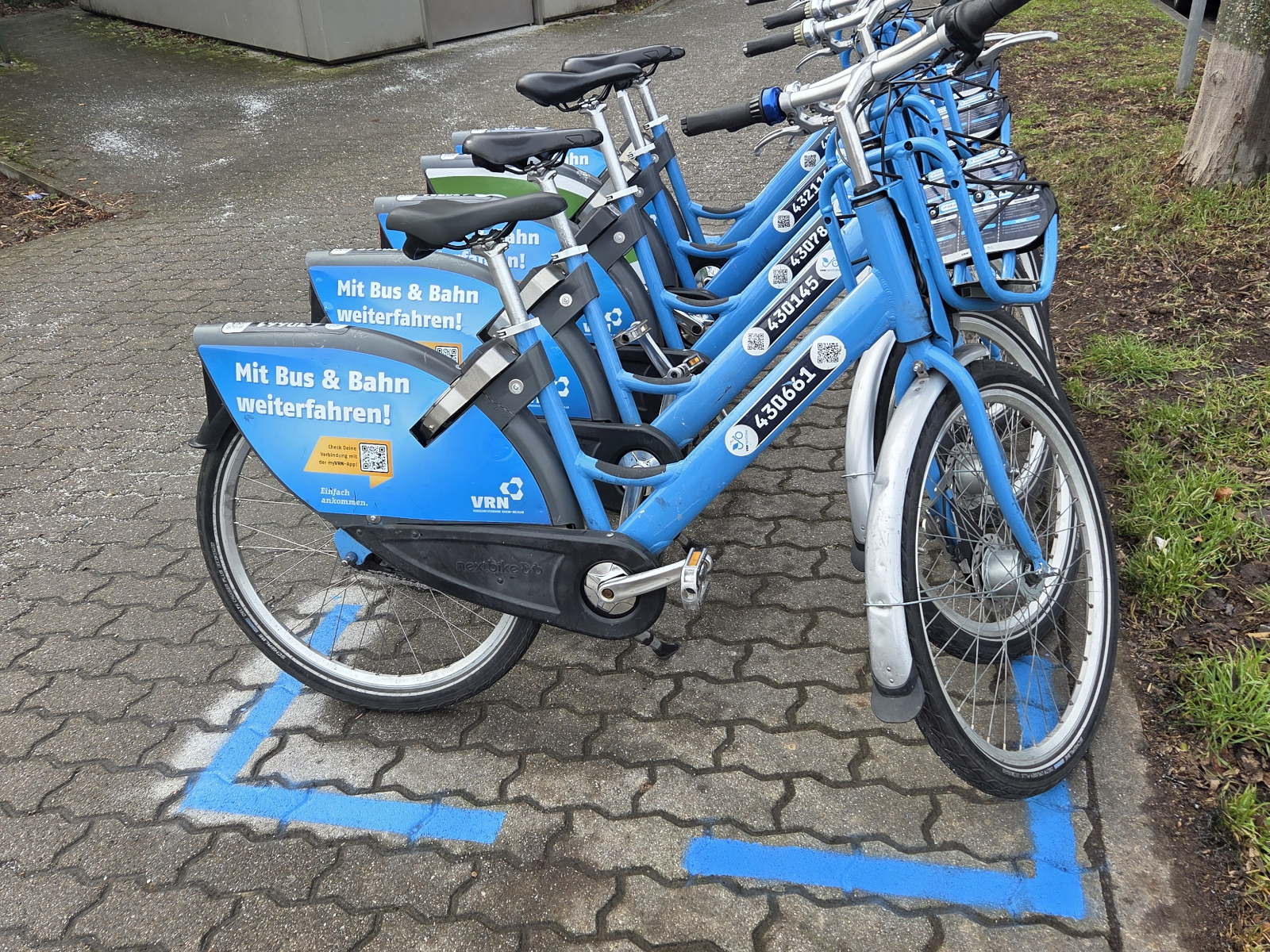 Blaue VRNnextbike-Fahrräder stehen bereit zur Ausleihe.